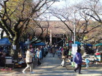 antique market in Hokekyo-ji