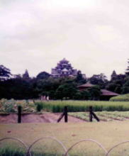 Korakuen Garden in Okayama