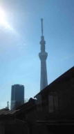 Tokyo Sky Tree from Mukojima