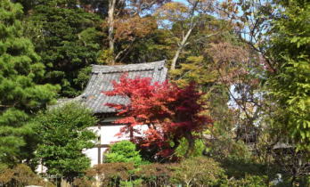 beautiful leaves around Ugajin-do